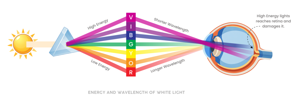 Is Blue Light Secretly Damaging Your Eyes